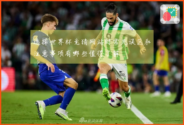 选择世界杯竞猜网站时常见误区和注意事项有哪些值得了解