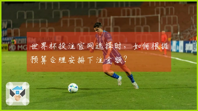 世界杯投注官网选择时，如何根据预算合理安排下注金额？