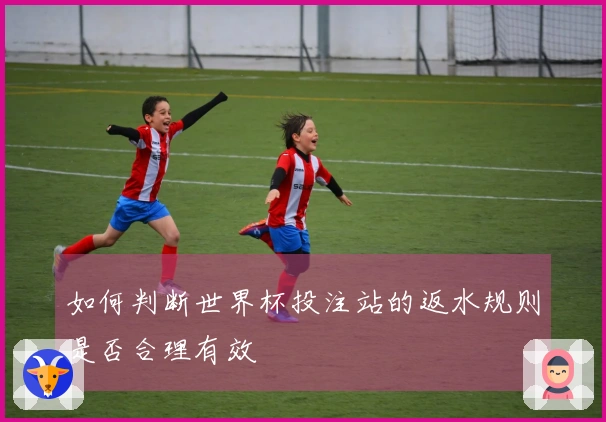 如何判断世界杯投注站的返水规则是否合理有效