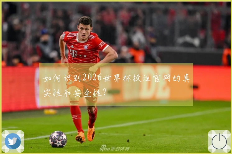 如何识别2026世界杯投注官网的真实性和安全性？