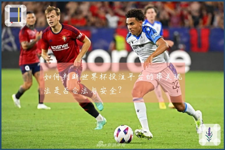 如何判断世界杯投注平台的串关玩法是否合法与安全？