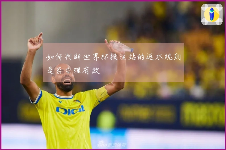 如何判断世界杯投注站的返水规则是否合理有效